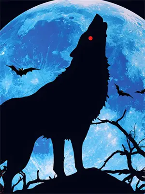 《猎户家的悍妻》有声小说